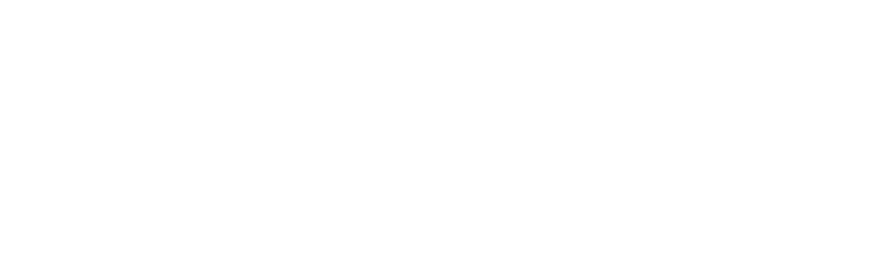 Savvy Sliders & Pistons